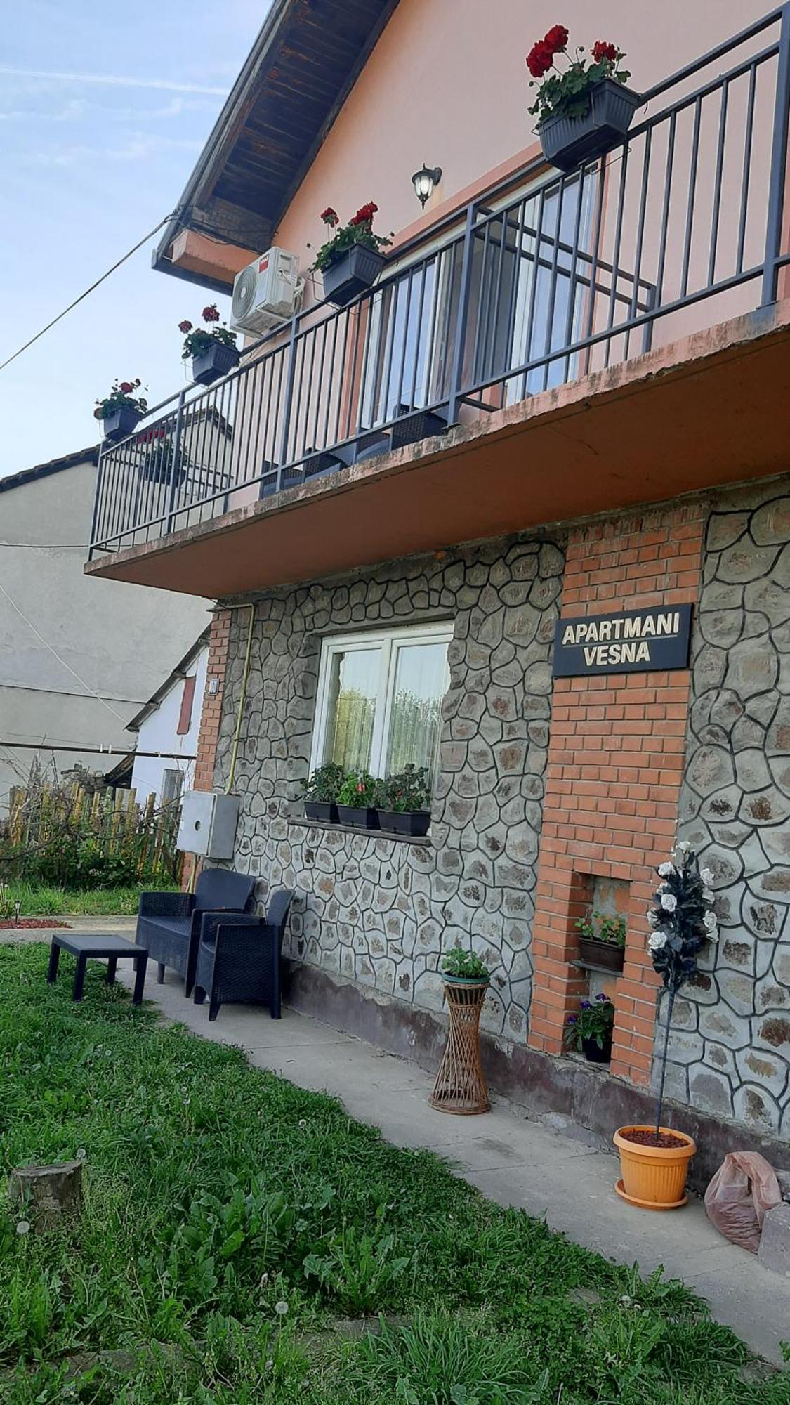 Vesna * Novi Sad